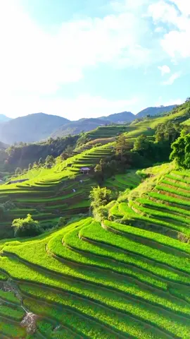 lại nghe #borero nhé các Tình yêu ♡♡♡ #canhdep #music #Dulich 