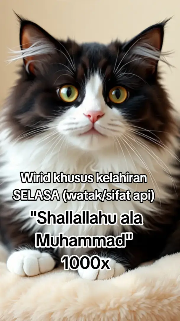 #fyp  #motivation 