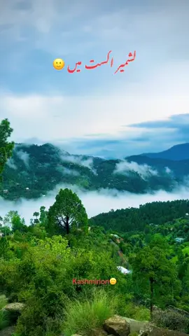 View Kasa laga#fyp #viral #follow and like #tiktok 