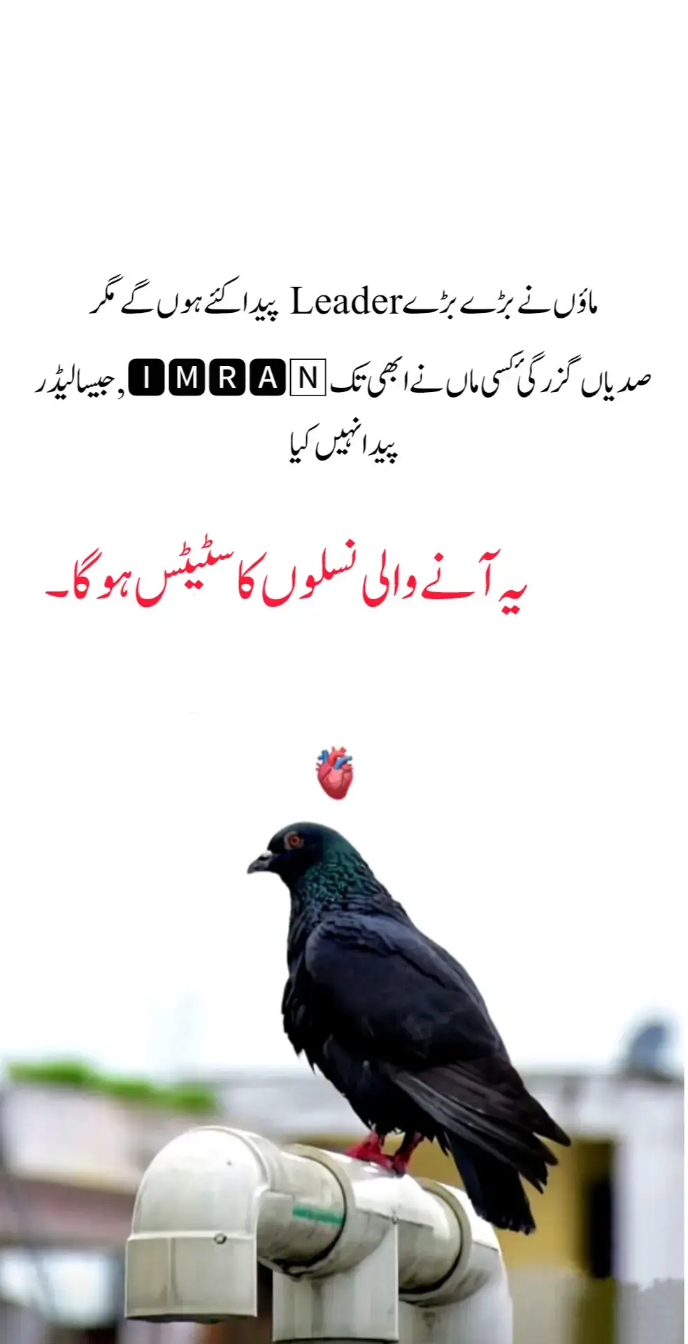 #viraltiktok 