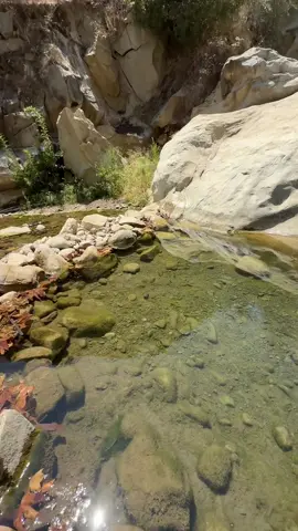 The hidden rock pools of Ojai at YouTube lopezexplora 