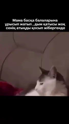 кімде осындай жағдай бола берет 🤣😂😁