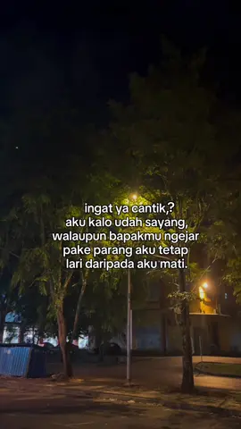 Ingat ya cantik)#fyppppp) kucing sarawak kalimatan barat)#viral 