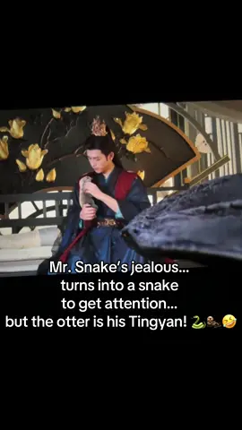 Mr. Snake gets jealous in his human form because the otter is stealing his master’s attention… so he turns back into his snake form, not realizing the otter is actually his Tingyan his friend 🤣🐍🦦 #cdrama #whendestinybringsthedemon #cdramalover #fy 