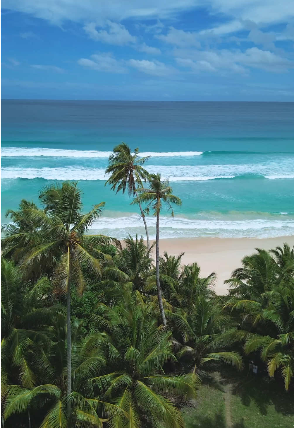 Seru banget travelling bisa menikmati fasilitas bumi 🌊 🥥🌴 #ocean #surf 