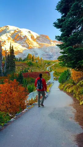 A peaceful walk in paradise, Mt. Rainier National ParK, Washington State, United States Of America 🌲📍⛰️🥾🌎🐾 #mountrainiernationalpark #mtrainiernationalpark #mountrainier #mountrainier #foryoupage 