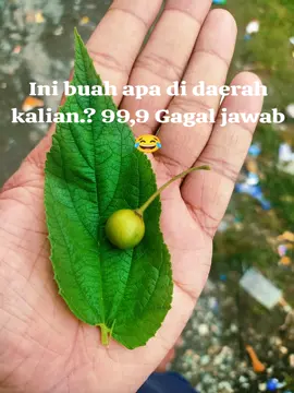 ini buah apa? 😂 #ambonpride🏝🔥 #malukupride🏝🔥 #viraltiktok #fyp #fyppppppppppppppppppppppp 