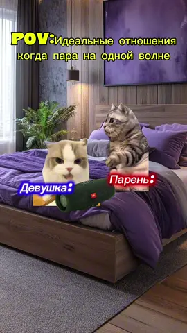 Идеальные отношения #мем#коты#прикол#минисериалы#юмор 