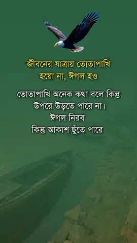 জীবনের যাত্রার তোতাপাখি হয়ো না 
