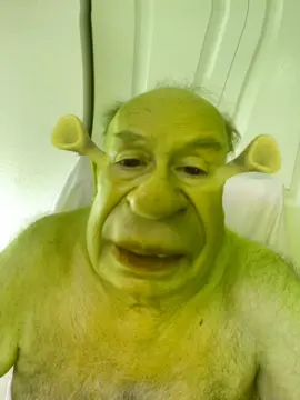 Shrek. Hey I’m nobody’s messenger boy. I’m a delivery boy.