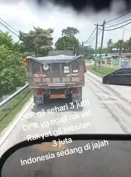 Dpr Anjing