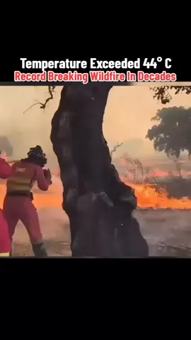 Europe ablaze: Southern Europe battles unprecedented wildfires This summer, Europe is confronting one of its most devastating wildfire seasons in decades. Spain is enduring its worst wave on record—over 344 ,400 hectares have burned, an area the size of Mallorca—fuelled by a relentless heatwave pushing temperatures beyond 45 °C. Military and civilian firefighters are on the frontlines, battling over 40 active blazes, including those threatening the historic Camino de Santiago route and the slopes of the Picos de Europa. Tragically, four people, including a firefighter, have lost their lives. Across the border in Portugal, more than 216 ,000 hectares have gone up in flames, with two confirmed fatalities. Fire response forces have activated the EU Civil Protection Mechanism, deploying water-bombing aircraft and international personnel to assist in containing the infernos. The scale of destruction is staggering—not only in land loss but in the threat to communities, cultural heritage, and ecosystems. The mounting devastation underscores the urgent need for climate-resilient strategies and coordinated emergency response systems. Stay informed. Stay safe. And don’t forget to thank those fighting on the frontlines. #EuropeOnFire  #wildfires2025  #SpainWildfires  #PortugalWildfires  #wildfires 