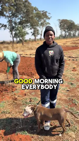 Under our Community Empowerment Program, Emuseni has partnered with Greenpastures Christian Church to launch a communal farming project. This initiative gives families and individuals their own piece of land to farm not just to grow food, but to grow dignity, self-reliance, and hope. 🌾👩🏽‍🌾👨🏽‍🌾 When a community plants together, it harvests more than crops… it harvests unity, strength, and a future. 💚 #EmuseniFoundation #CommunityEmpowerment #FarmingForTheFuture #FaithAndFarming#musa_sono 