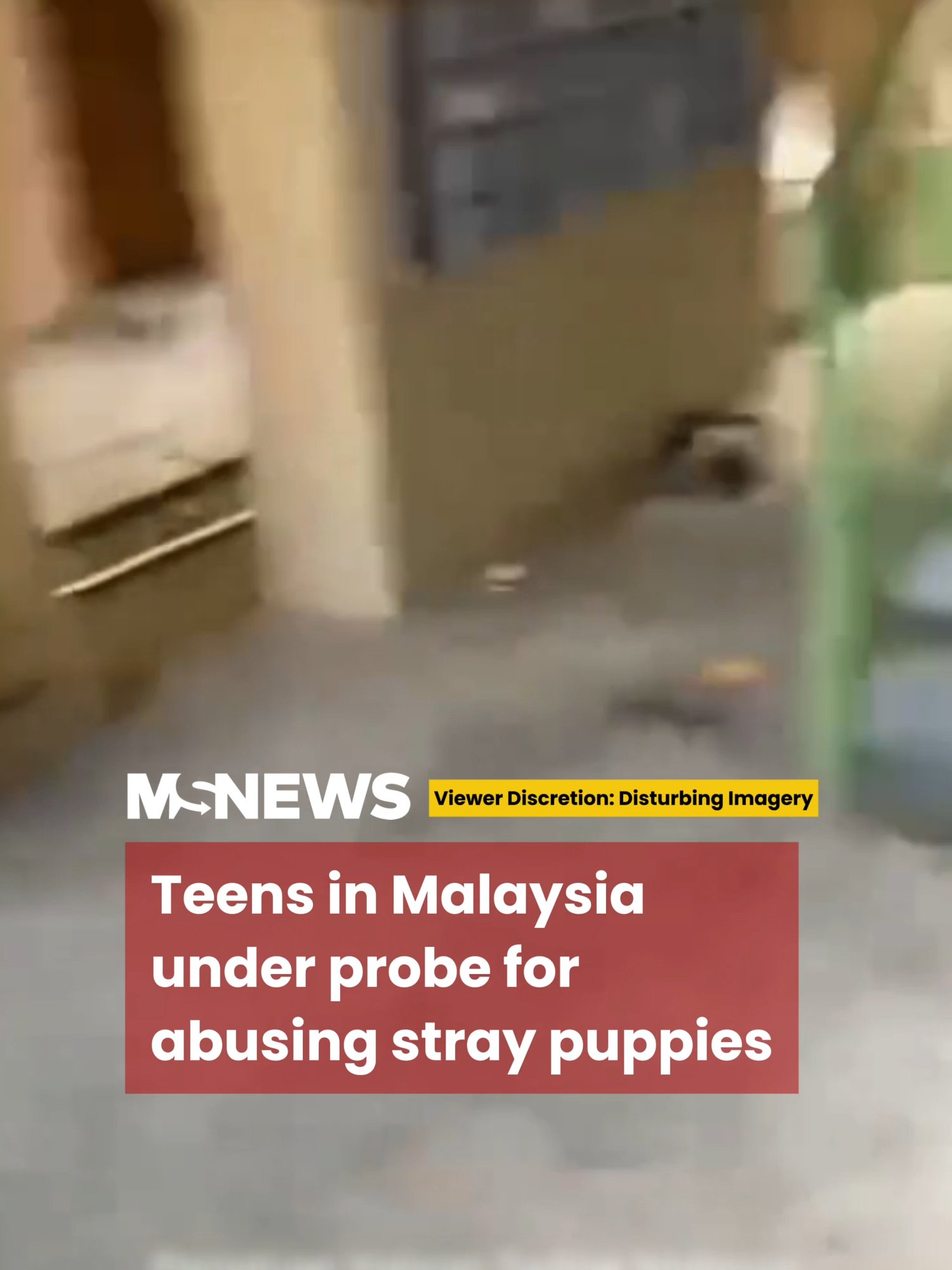 Netizens reacted with anger, demanding that the teenagers be held accountable.#mustsharenews #sgfyp #malaysia