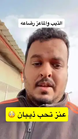 #علي_بن_غاوي 