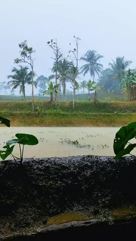 #hujan