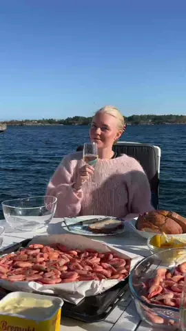 Dinner time #Vlog #sørlandet #sørlandvlog 