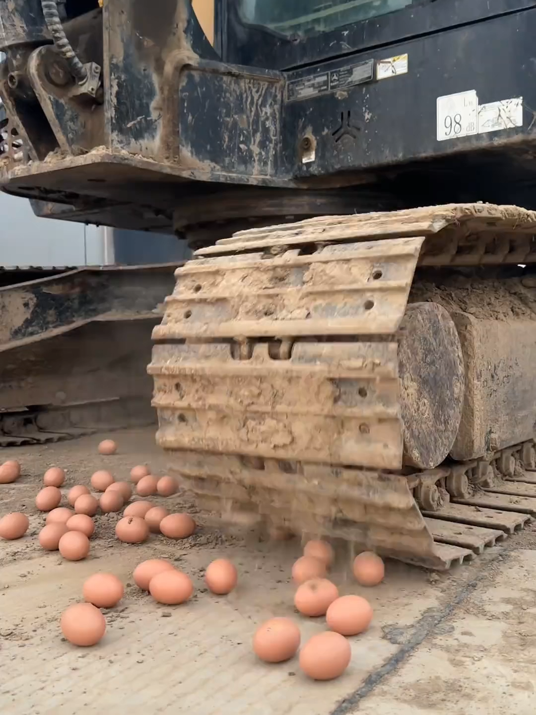 Eggs tougher than stone! #egg #farming