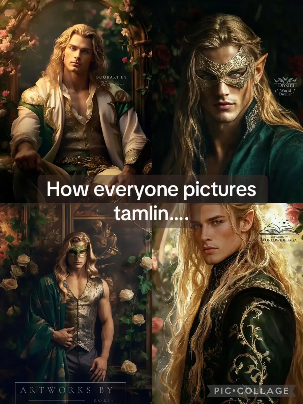 #tampon #tamlin #acotar #shrek #princecharming 