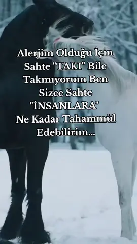 #m #s #rojdaam65_34 #o #a 