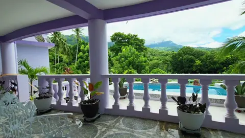 The best view of our pool area. 