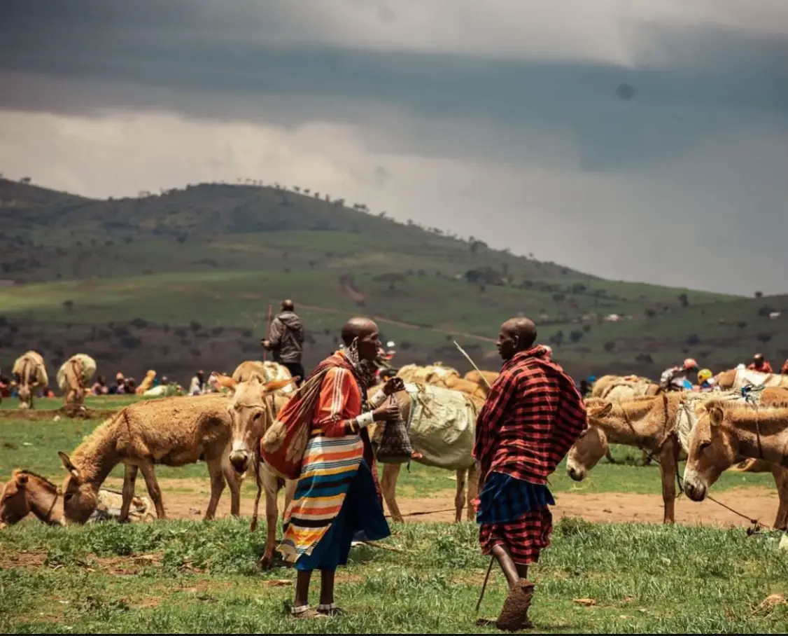 #maasai #maasaitiktokers😍😍😍 #foryoupage #masaimara #foryou 