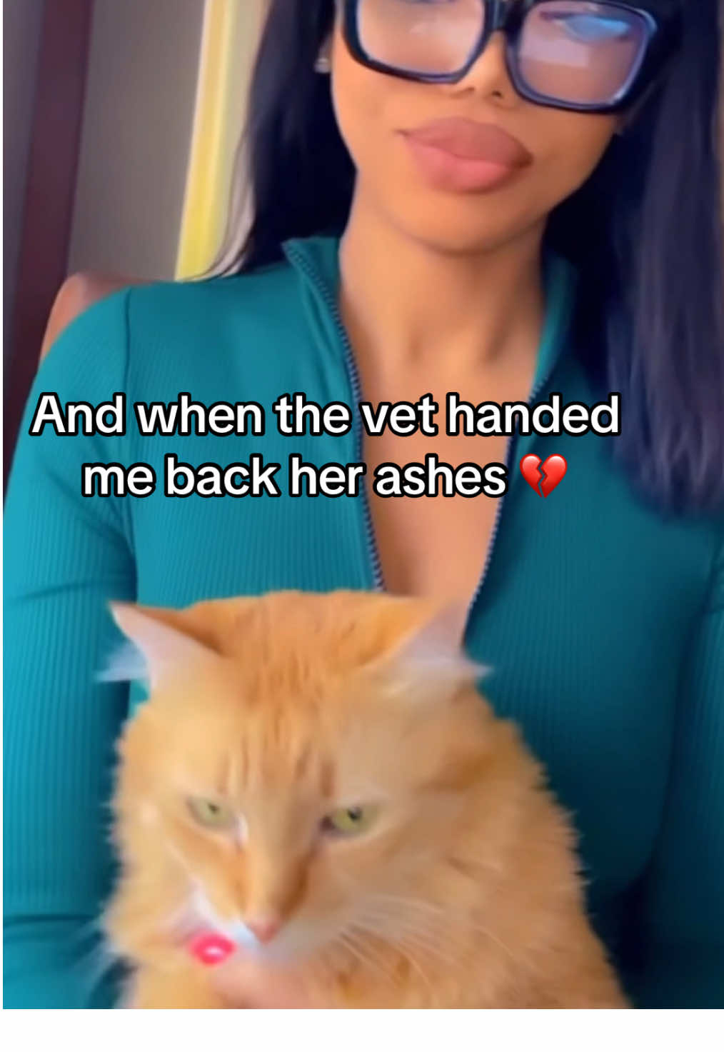 I miss my princess so much 🐈💔😢😢 #petgrief #petloss #cat #crying #heartbroken 