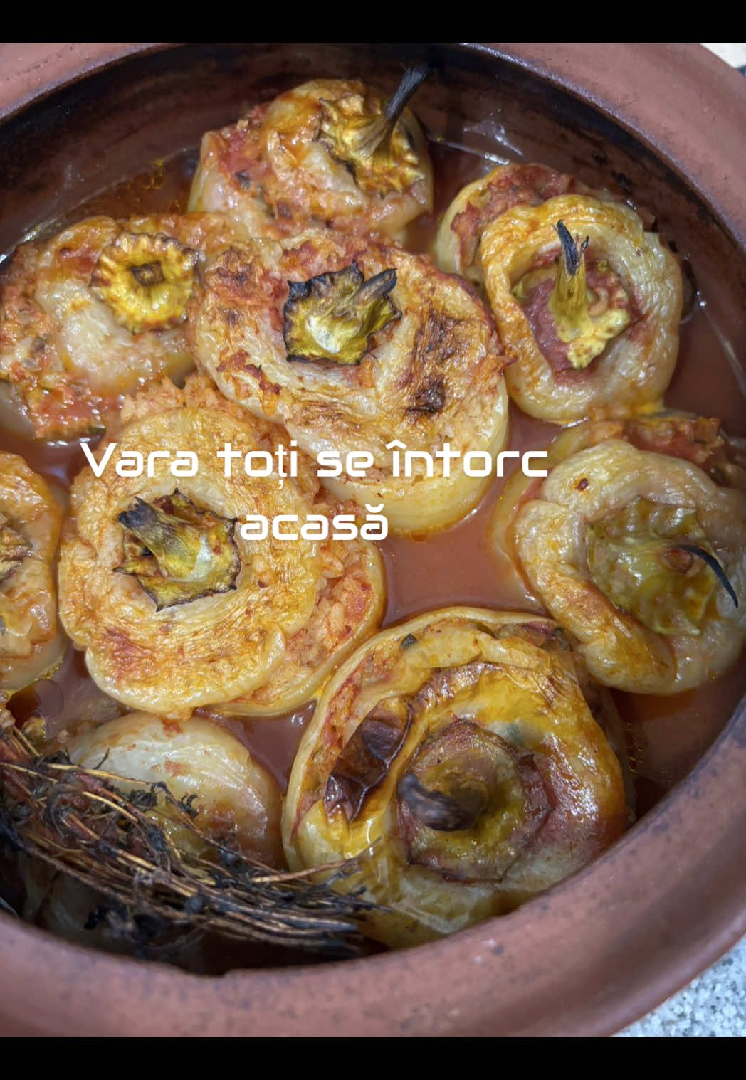 Tu unde te întorci vara? #latara #romania #lasat #viatalatara #gustautentic 