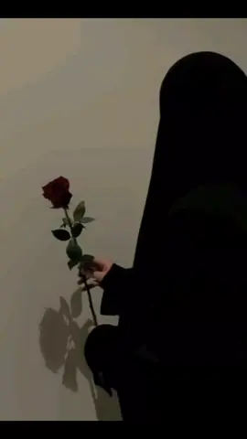 #aslamic_videos 