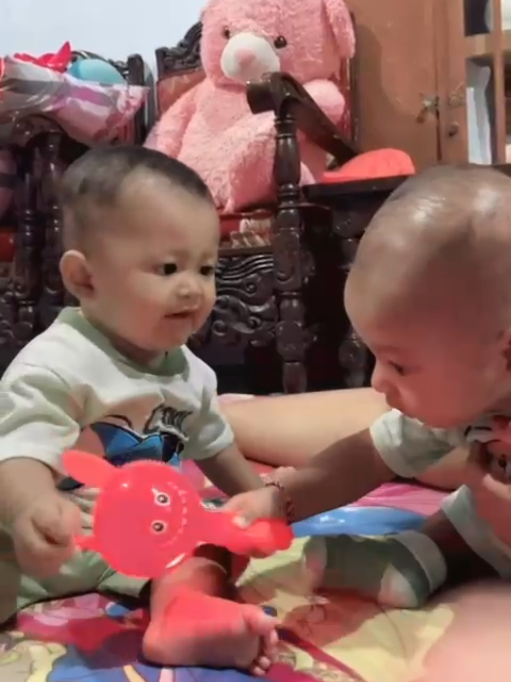 gini yaa ternyata kalao abang adek beda 7 bulan aja , mainan rebutan tapi lucu 😄 satunya ngeyel satunya nggak mau dikalahin hehhe #mainananak #rebutanmainan #bayi1tahun #bayi7bulan #fyp 