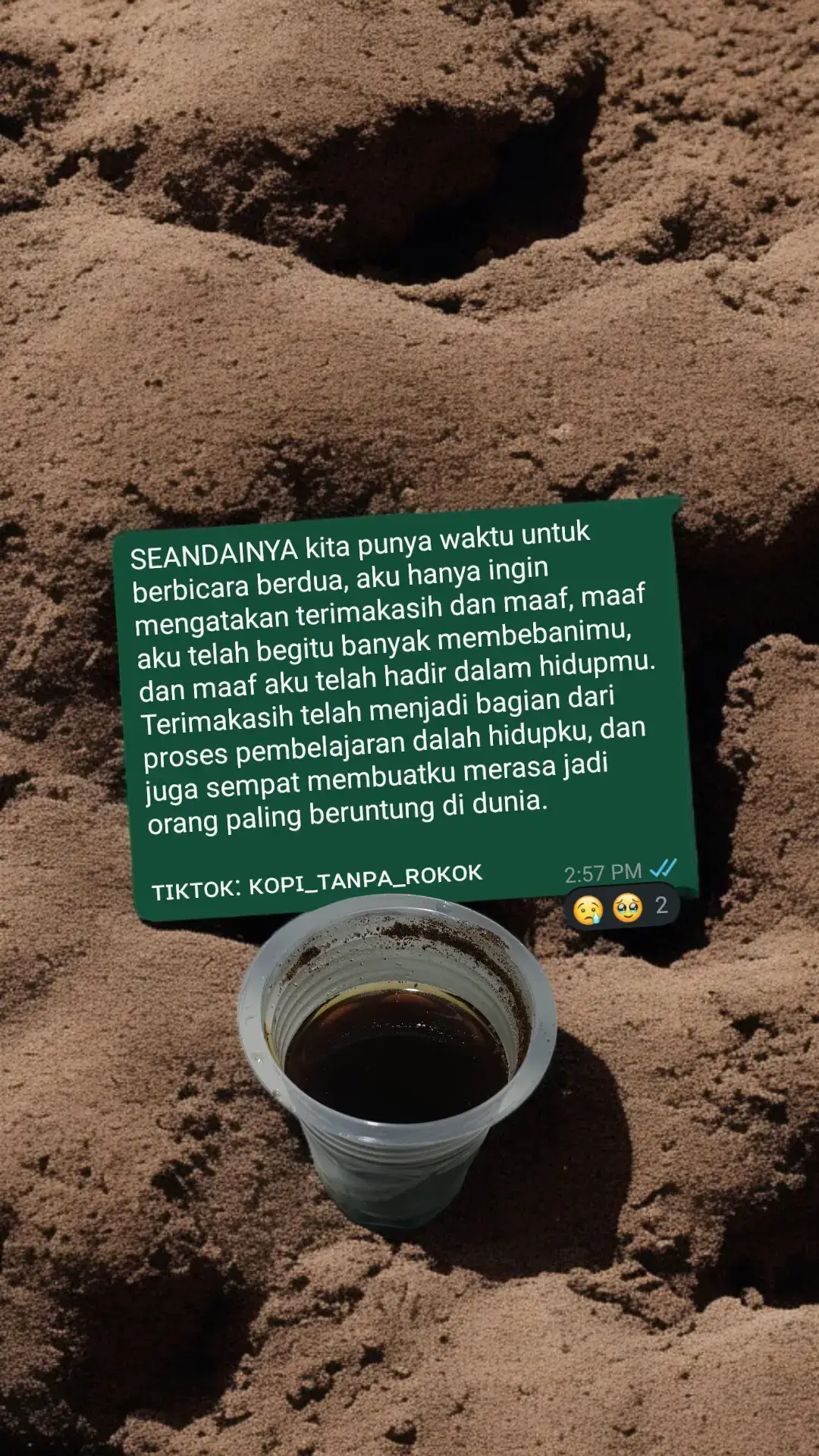 antara bahagia, kecewa, menyesal, ingin kembali, dan ingin pergi. #sad #sadstory #sadvibes #galau 