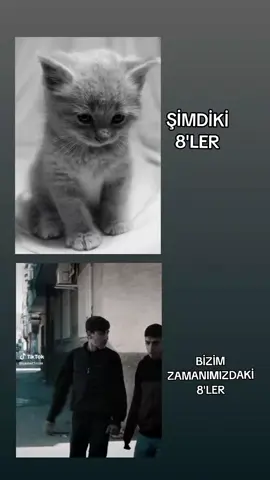 ALTIN ÇOCUKLARR🦅🦅 #cengoburak #keşfet#fyppp 