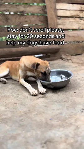 Sharing is caring and caring is love . Please kindly consider donating something 