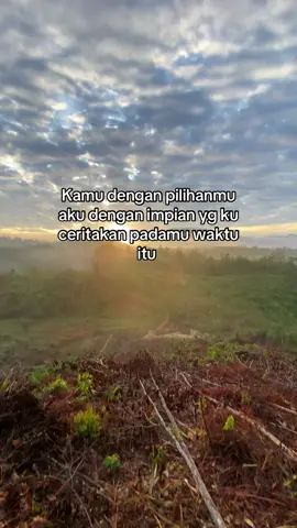 Ok #fyp #most ##sawitontiktok #sawitbapak #petanisawit 