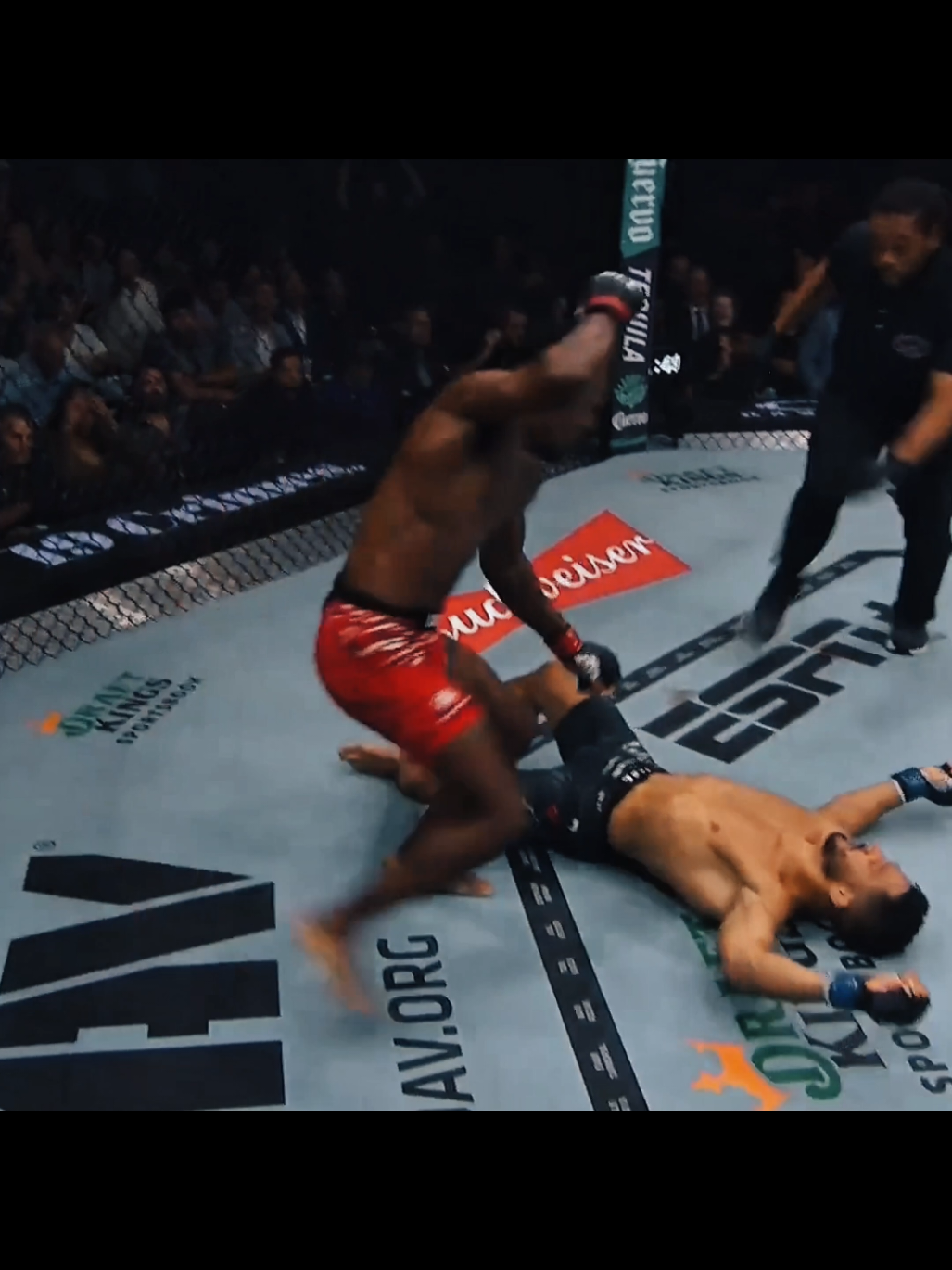 dead 🔪  #knockout #ufc319 #mma #fyppppppppppppppppppppppp #bellator #aaronpiko #faceoff 