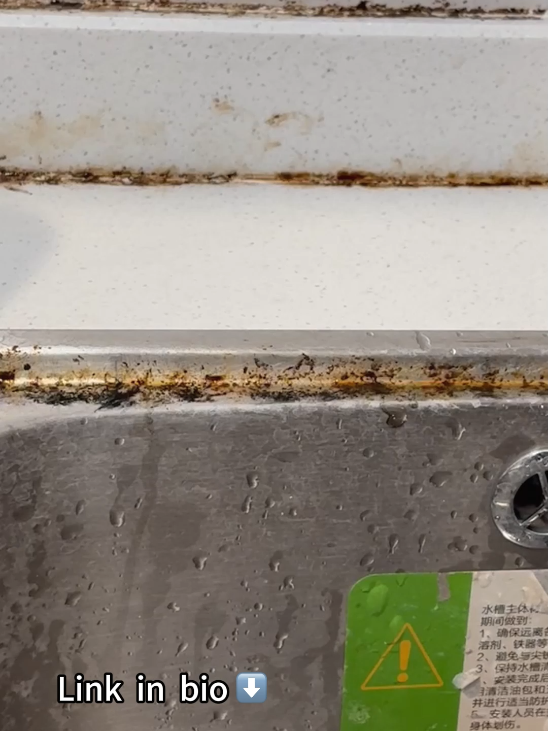 I regret spending200🔪 to get someone to remove mold...#antimold #cleaning #cleaningtips #householdcleaning #mold