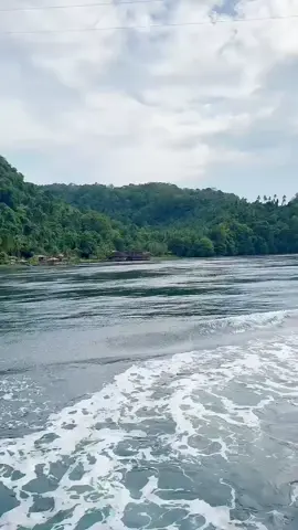 Halo #sobATRBPN, Bitung  Hari ini Selasa, (19/08) bertempat di Kapal KP.ORCA 04 (Dermaga PSDKP Bitung). Kepala Kantor Pertanahan Kota Bitung, Steven O.K. Wowor, S.ST., M.A.P. mengikuti kegiatan Upacara Tabur Bunga di Laut dalam rangka peringatan Hari Ulang Tahun Mahkamah Agung Republik Indonesia ke- 80 Tahun    #IndonesiaLengkap #ATRBPNKiniLebihBaik #ATRBPNMajudanModern #MelayaniProfesionalTerpercaya #KantahBitung #ZonaIntegritas