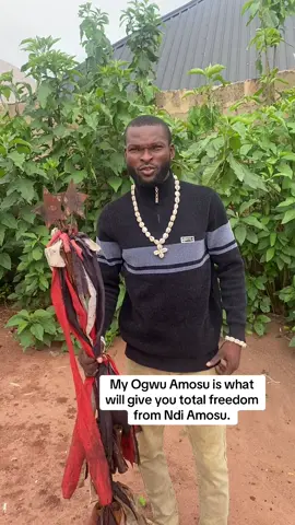 My Ogwu Amosu is what will give you total freedom from Ndi Amosu. #ugo_omambala_tv #fyp #foryou #nigeriatiktok🇳🇬🇳🇬 #100millionviews 