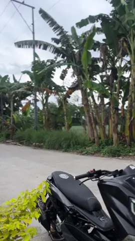 #viralvideo #easyride150n #fbreelsfypシ゚viral #tiktok #indonesia🇮🇩 
