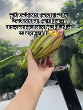 আসলে যতই সব মানিয়ে নিতে চাই ততটাই কঠিন হয়ে ওঠে সব কিছু 🤐🥺#fyp #fouryou #fyppage #fouryoupage_tiktok_ #fyppppppppppppppppppppppp 