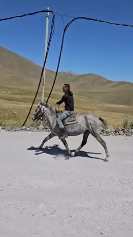 @toğrul_447 