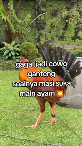 kata