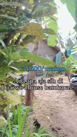 Gimana gak betah pemandangan sawah sama sunsetnya terbaik 🥳 #batukaras #djarwohousebatukaras #hostellife #accomodation #solotravel 
