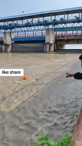 #reaction #challenge #whaterfall #ganga #river 