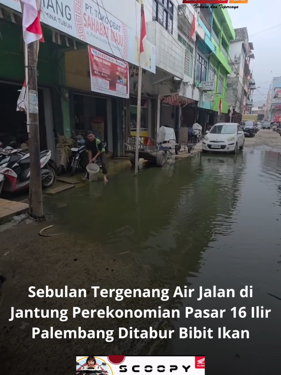 Seorang pedagang Pasar 16 Ilir PALEMBANG mengeluhkan telah sejak sebulan terakhir akses jalan ke kawasan mereka digenangi air, sehingga menyulitkan aktivitas jual beli.  Baca Selengkapnya klik artikel diatas . . . #pasar16ilirpalembang #taburbibitikanlele #tiktokberita #viralpalembang #sumeksco 