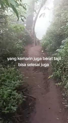 naek naek