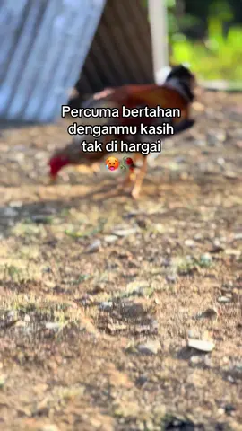 #fyppppppppppppppppppppppp #mskberanda #xybca #foryoupage #maduraviral 