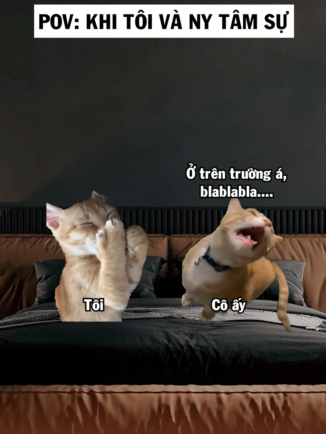 Con trai đơn giản lắm(cre: Mèo hoan hỉ) #meme #cat #nupgamgiuong #fyp #j4f #funny #foryou
