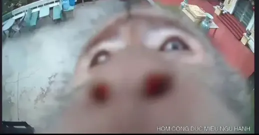 Mới tuyển được anh thợ chỉnh góc cam. Thợ này trả lương bằng chuối🤣🤣 #cameraquansat #lapdatcameraquansat #cameragiare #imou #ezviz 