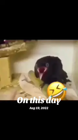 #onthisday